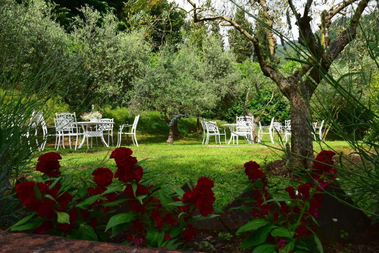 La Sosta In Toscana Camaiore Exterior photo